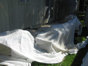 Exterior painting plant covers porltand, OR. Exterior painting plant covers portland, OR.