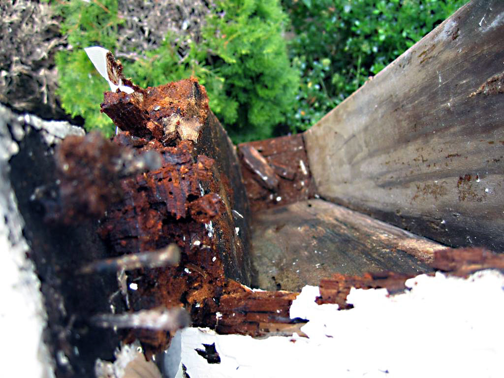 dry rot repair on deck 4x4 post