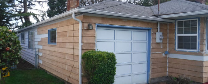 Exterior Paint Stains