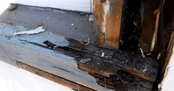 Seattle Dry Rot Repair Contractor Sfw Construction Llc 9872