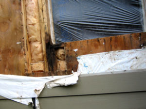 Window leak repair in Seattle, Washington. SFW Construction LLC.