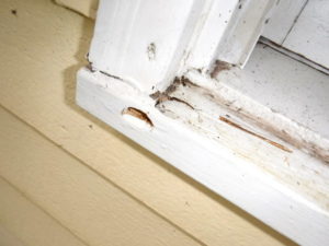 Leaking window in Seattle, Washington. SFW Construction LLC.