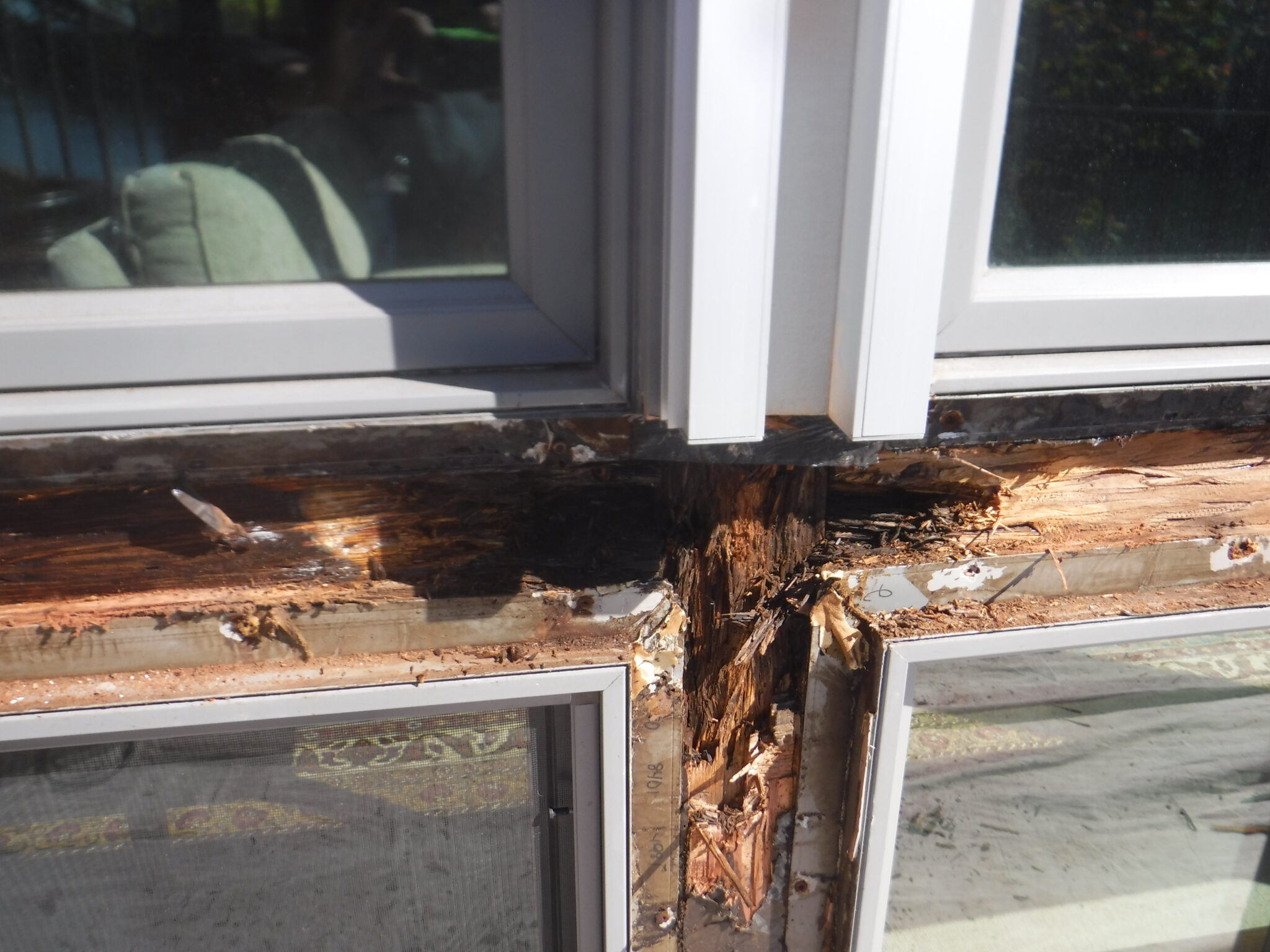 Oregon Dry Rot Repair wood dry rot