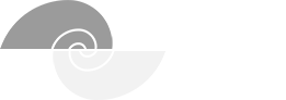 SFW Construction