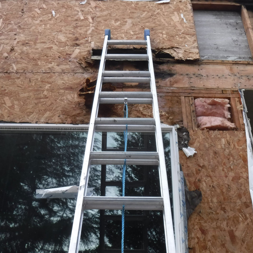 Beaverton Wood Rot