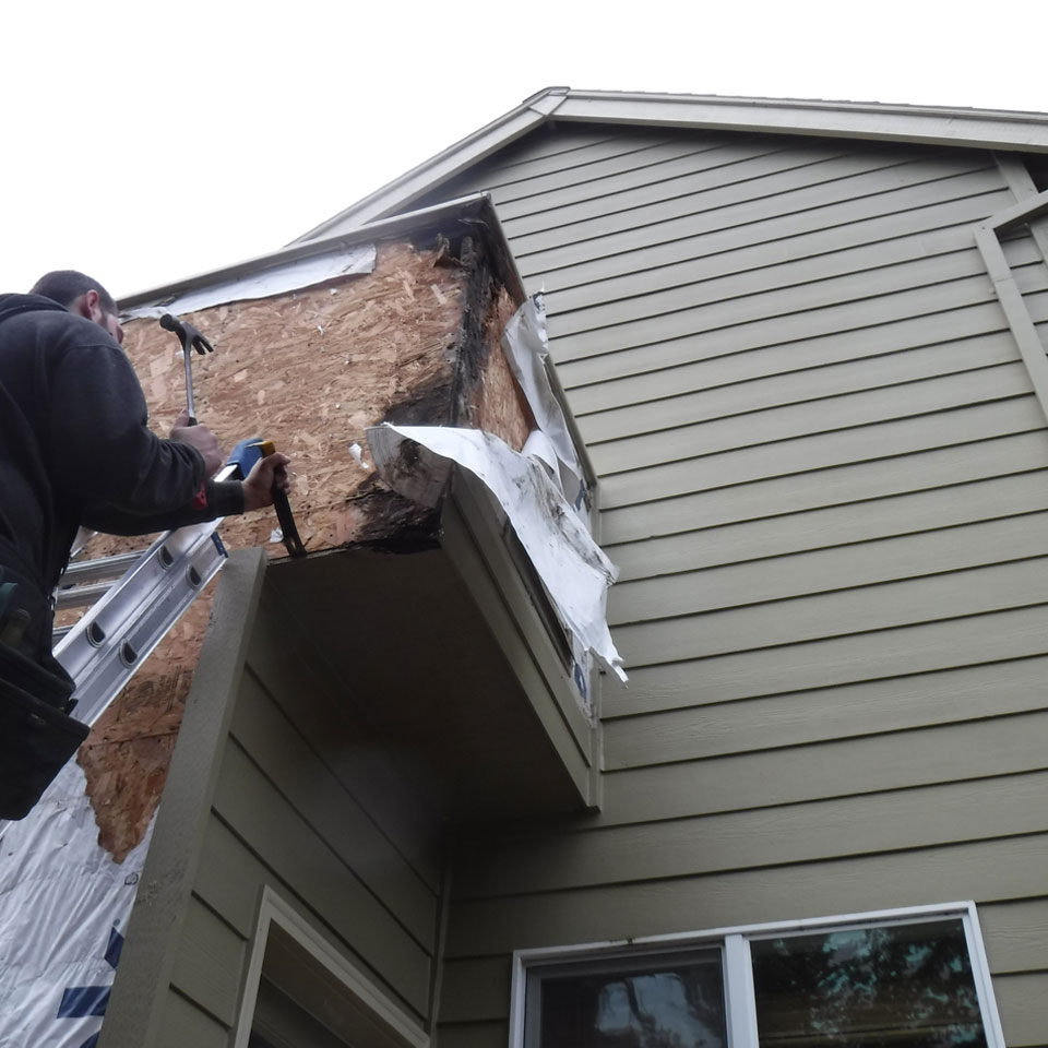 Beaverton Dry Rot