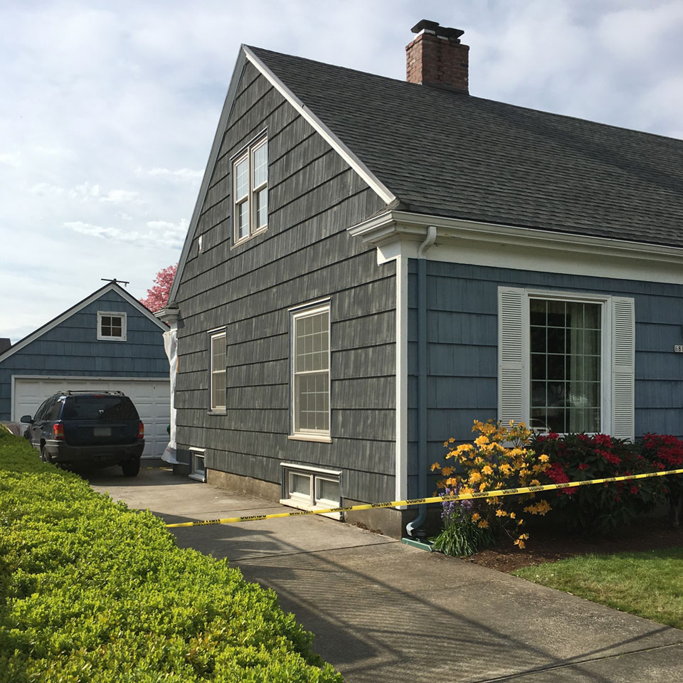Bellevue Dry Rot