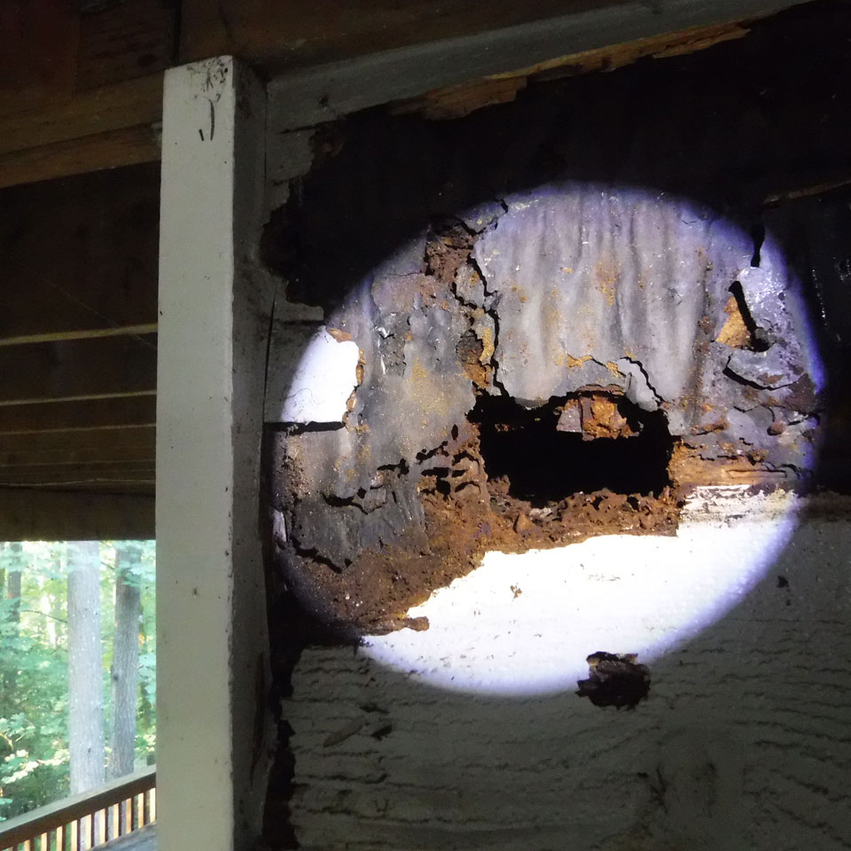 Issaquah Dry Rot