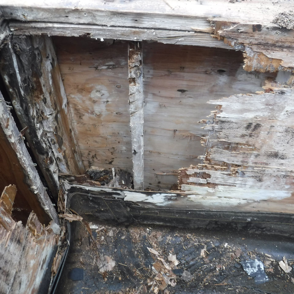 Mercer Island Dry Rot