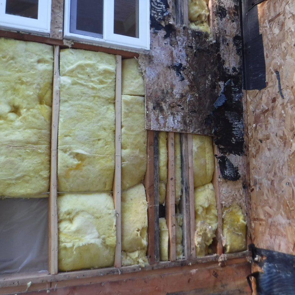 Newberg Dry Rot