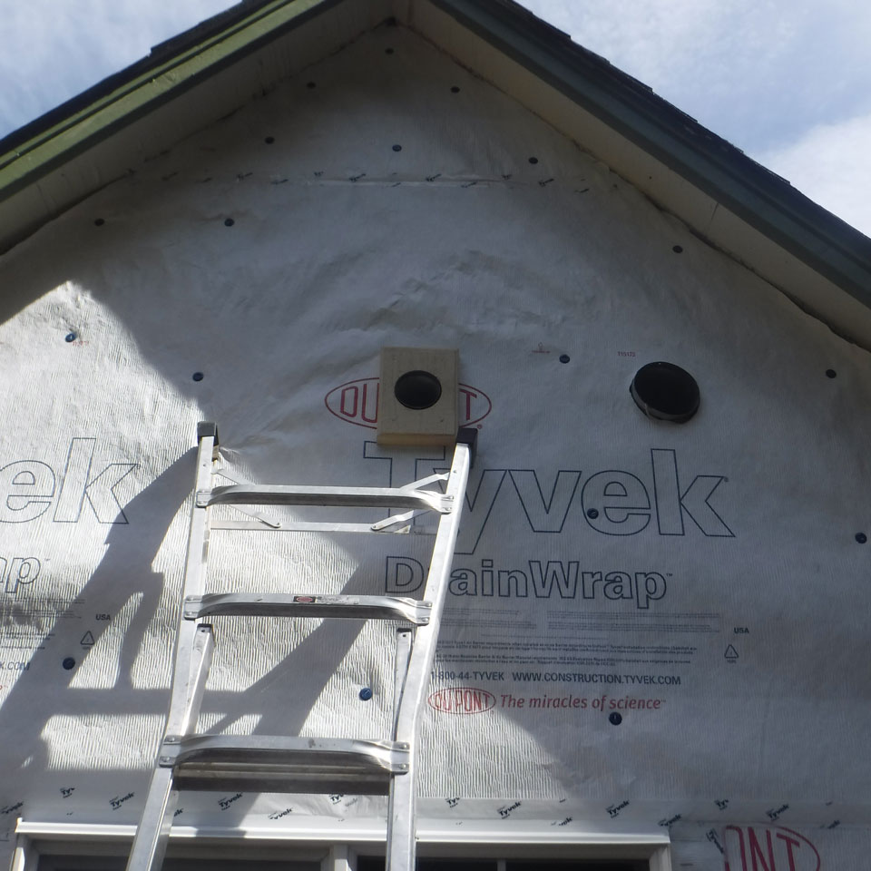 Siding Repair Issaquah