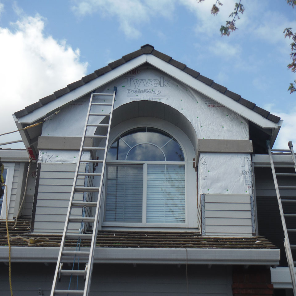 Snoqualmie Dry Rot