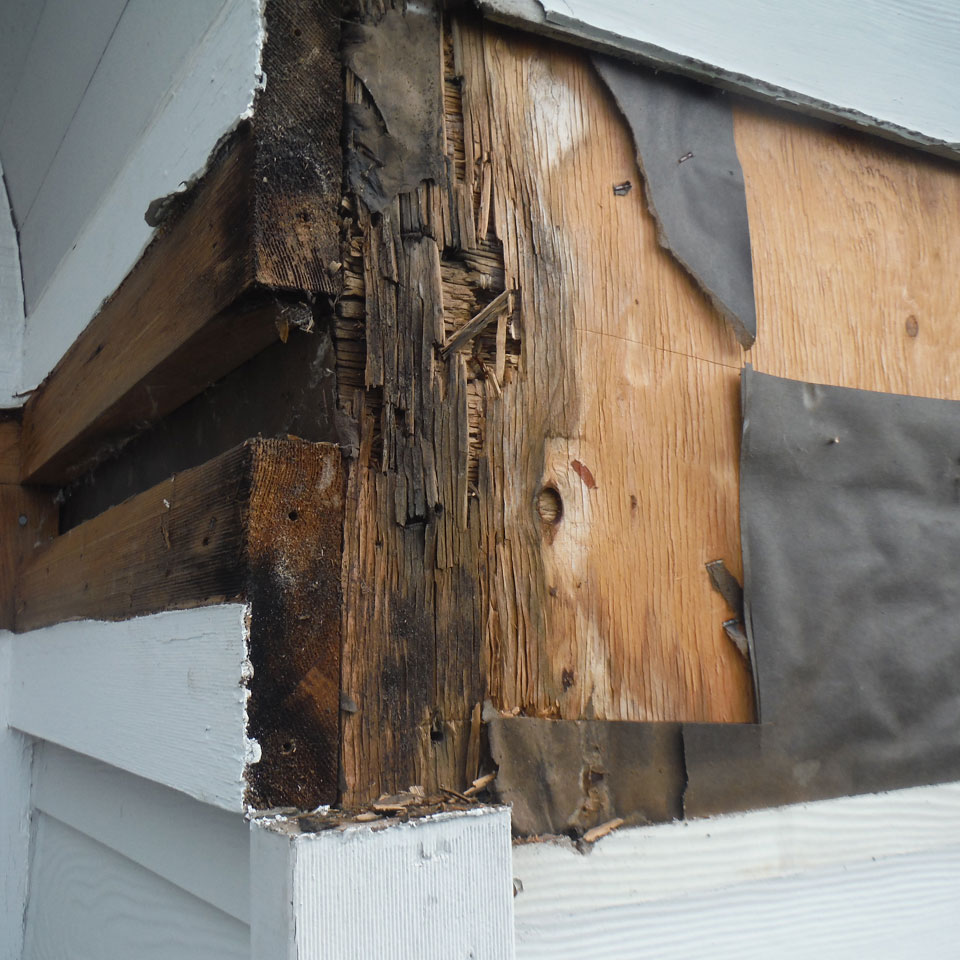 Snoqualmie Dry Rot