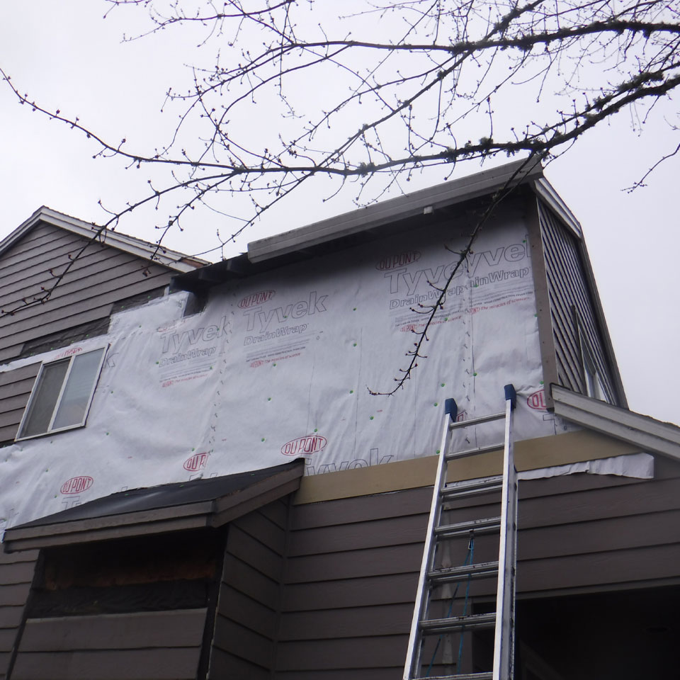 Tigard Dry Rot