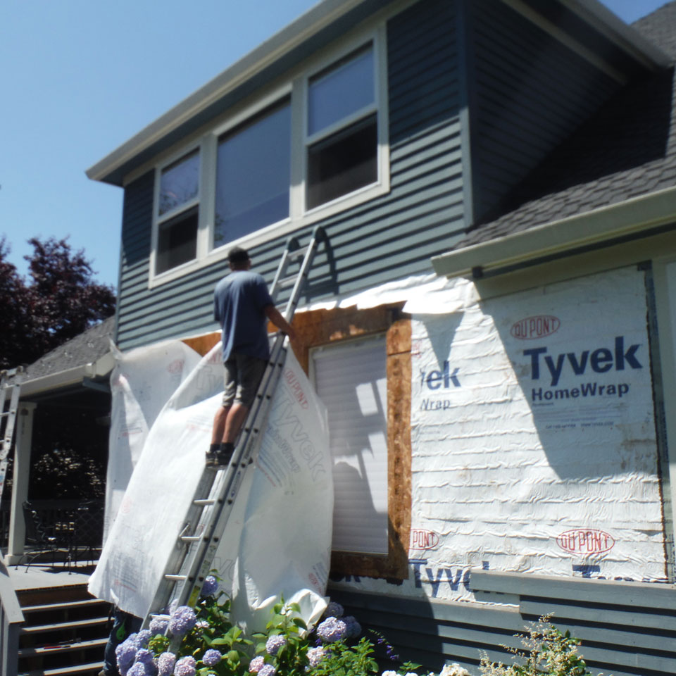 Woodinville Dry Rot