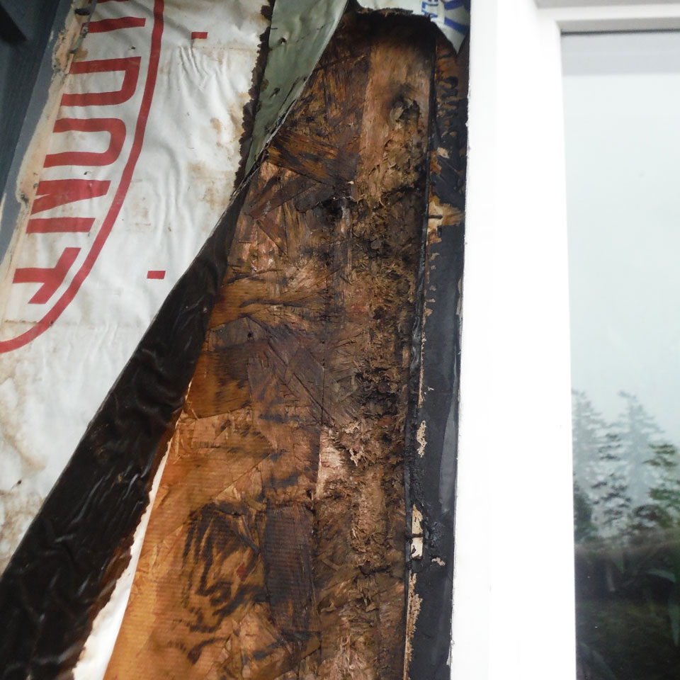 Woodinville Dry Rot