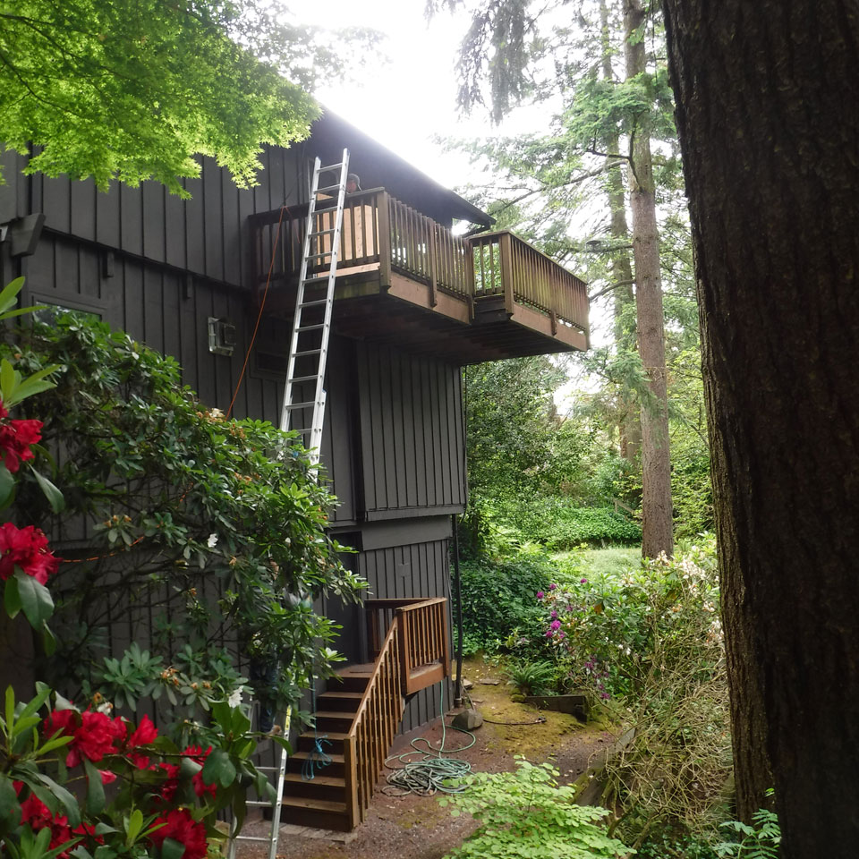 Bothell Dry Rot