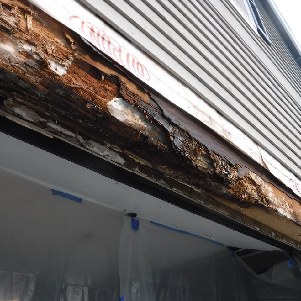 Edmonds Dry Rot