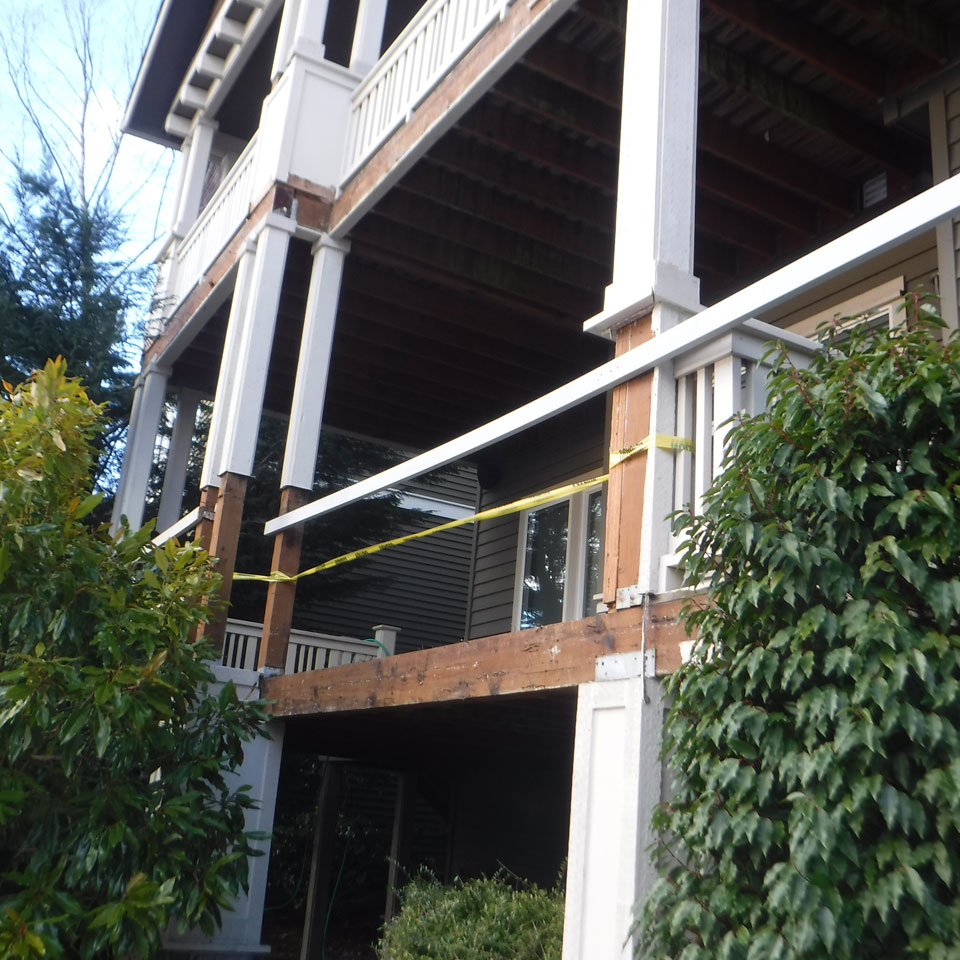 Everett Dry Rot