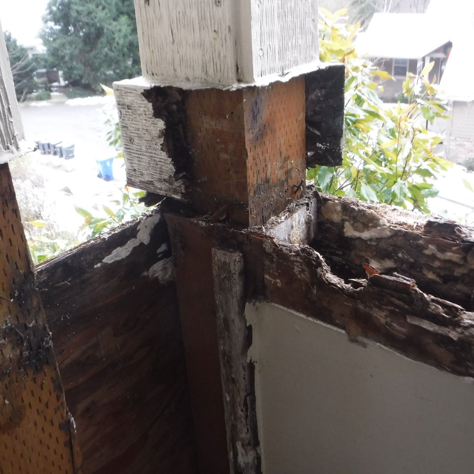 Everett Dry Rot