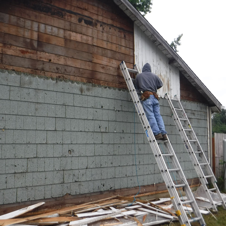 Federal Way Dry Rot