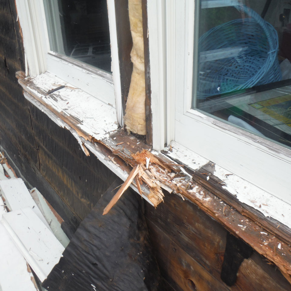 Forest Grove Dry Rot