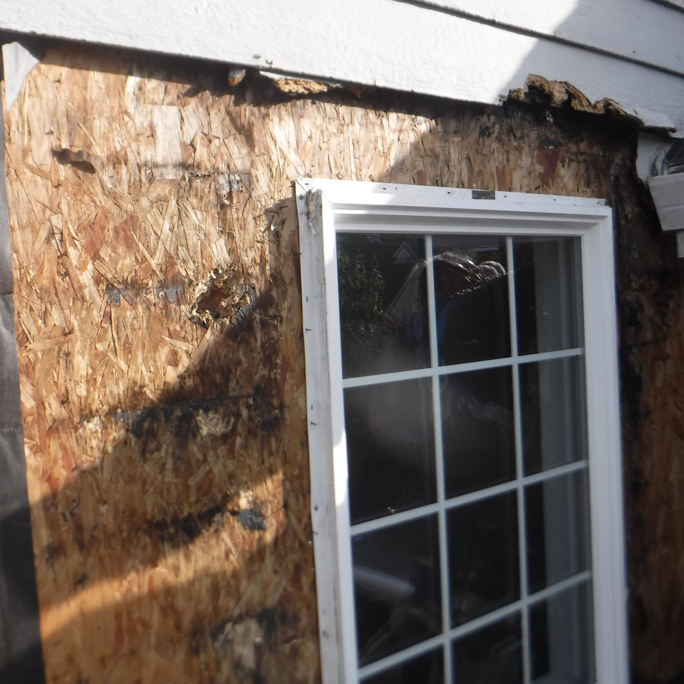 Gresham Dry Rot