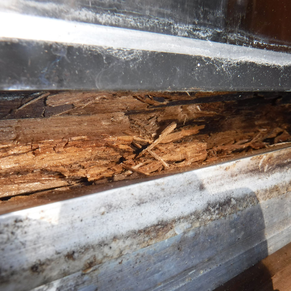 Keizer Dry Rot