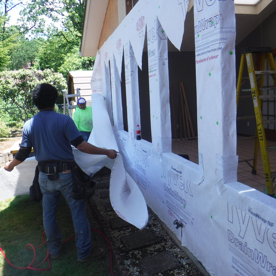 Kirkland Dry Rot