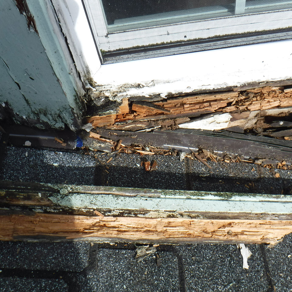 Lake Forest Park Dry Rot