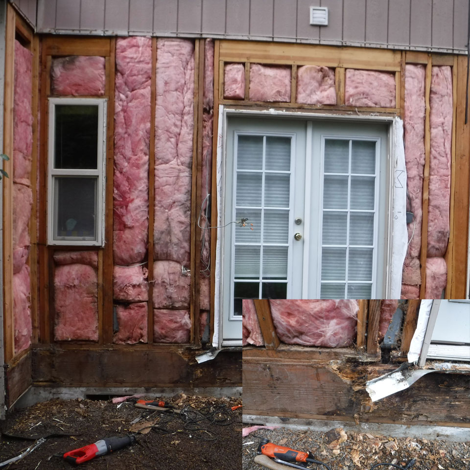 Mountlake Terrace Dry Rot