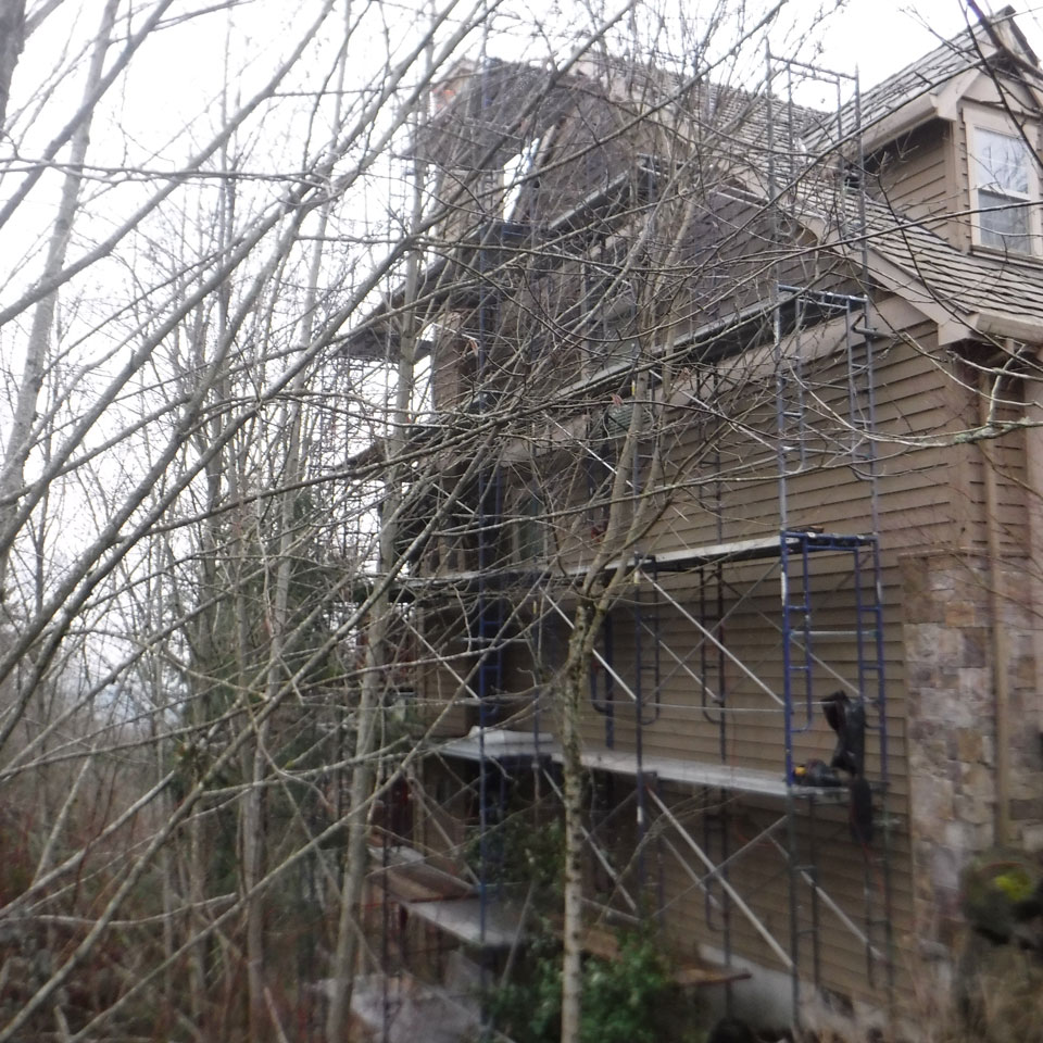 Mukilteo Dry Rot