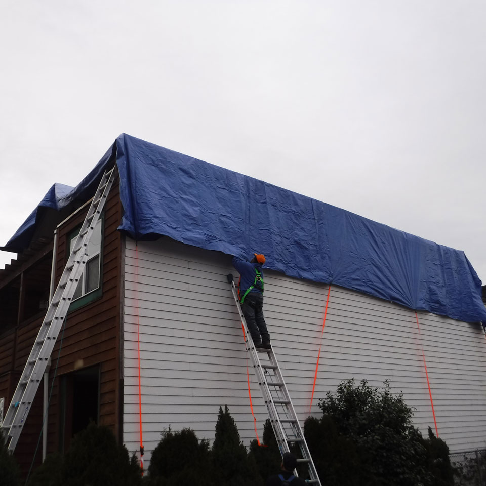 Puyallup Dry Rot