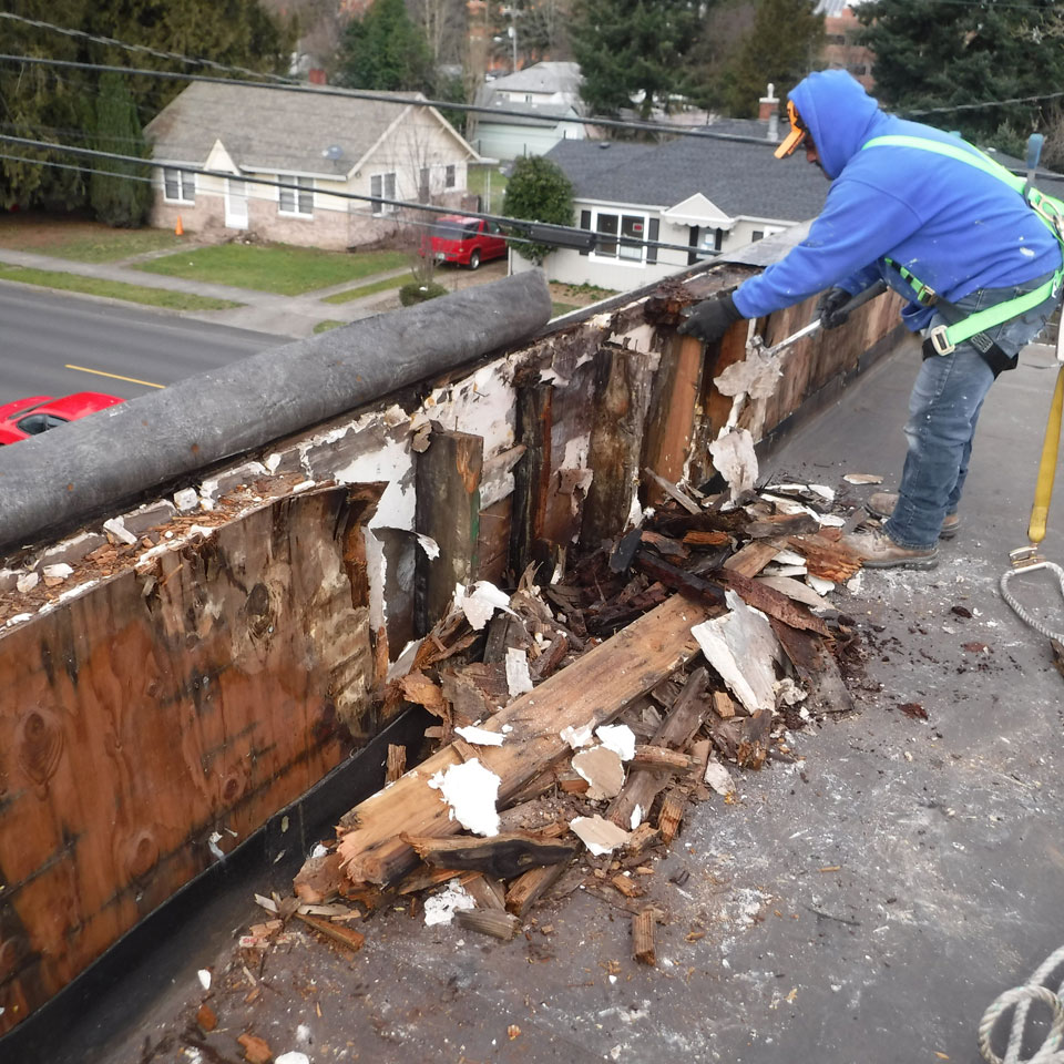 Puyallup Dry Rot