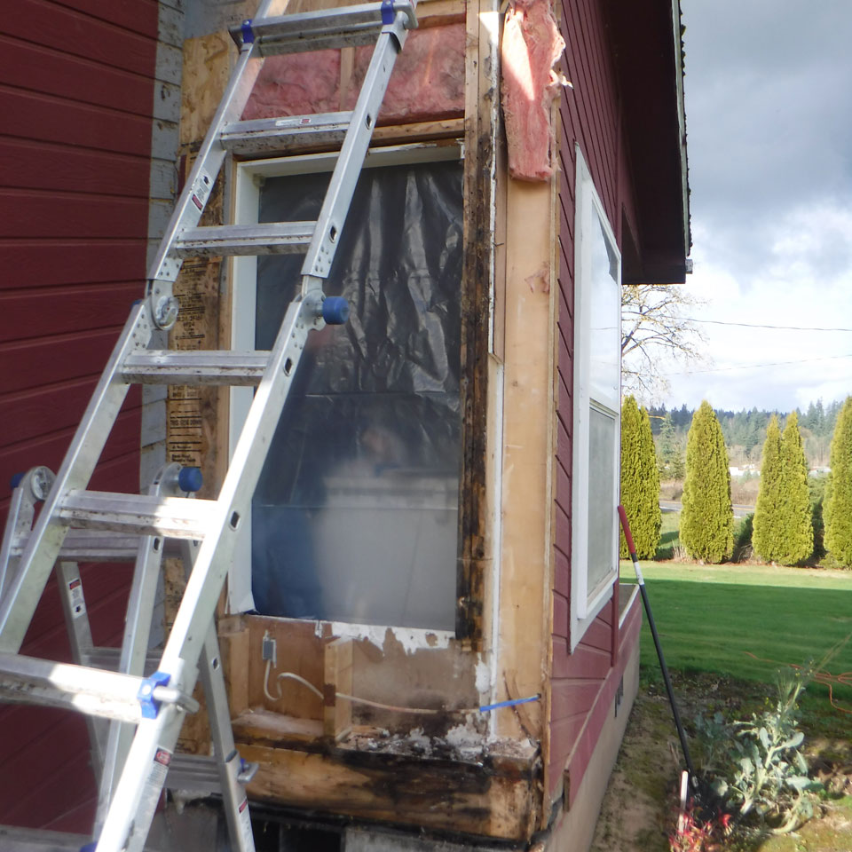 Vancouver Dry Rot