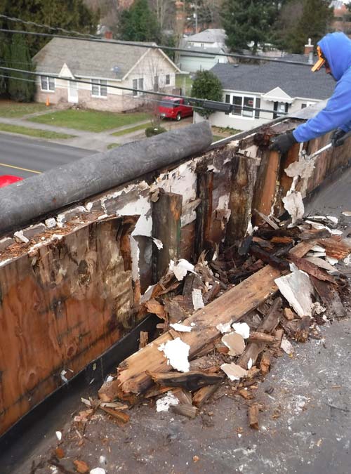 Dry Rot Repair