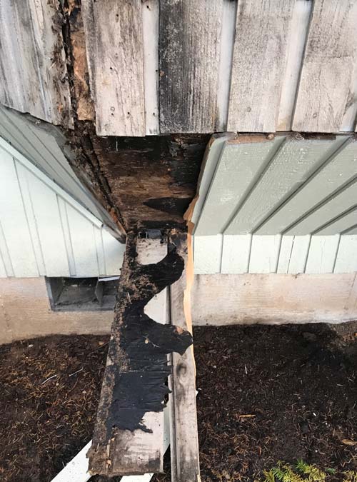 Dry Rot Repair