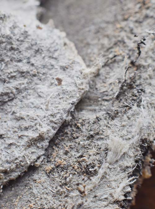Asbestos Inspections