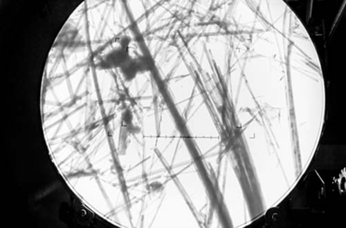 Asbestos Inspections