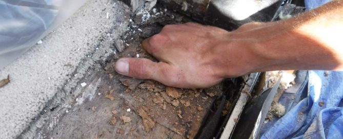 How Serious Is Dry Rot