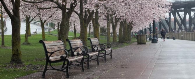 Rainiest January in Portland, Oregon