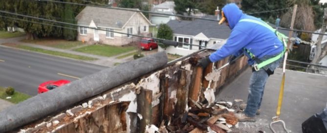 Fixing dry rot