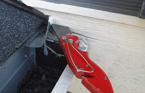 Dry Rot Detection