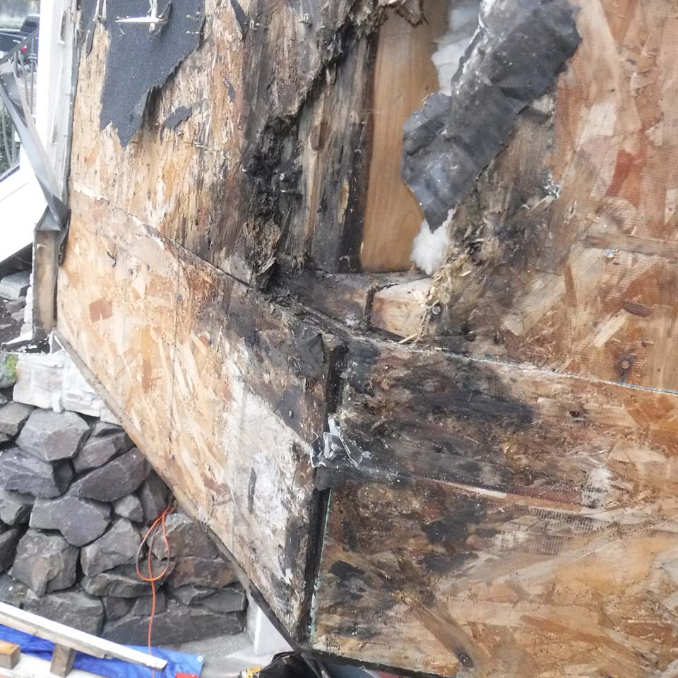 Damage Dry Rot Causes