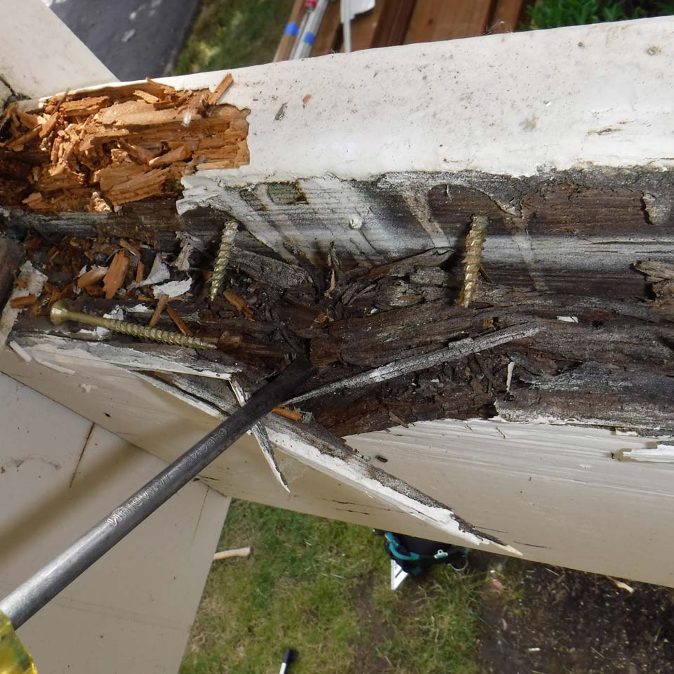 Using A Screwdriver To Discover Dry Rot