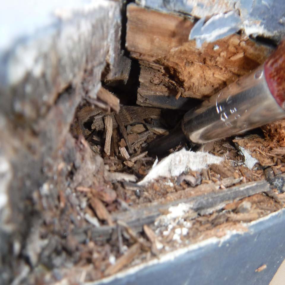 Screwdriver Used To Discover Dry Rot