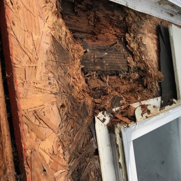 Hillsboro Dry Rot Repair Company SFW Construction, LLC