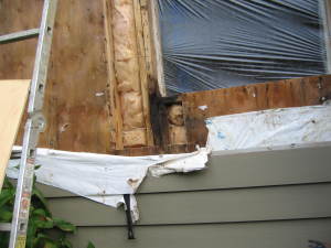 Leaking Windows Cause Dry Rot