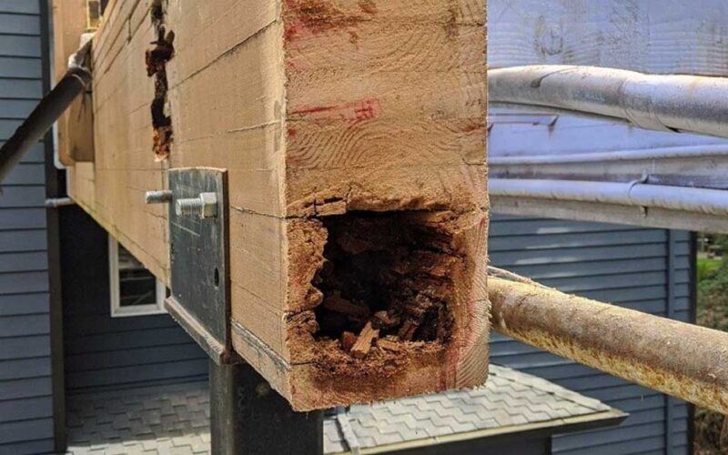Dry Rot Beam Repair To Restore Structural Support For A Footbridge