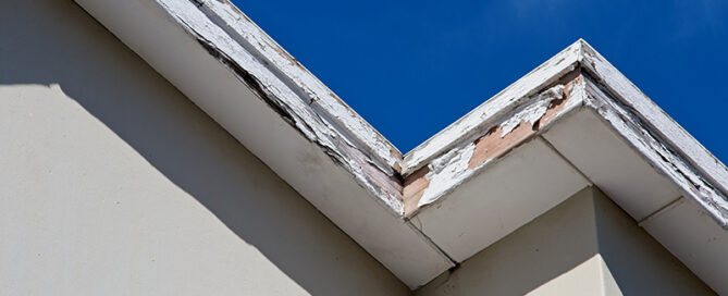 Fascia Soffit Trim Repairs